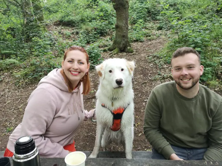 Couple sat next to a dog.