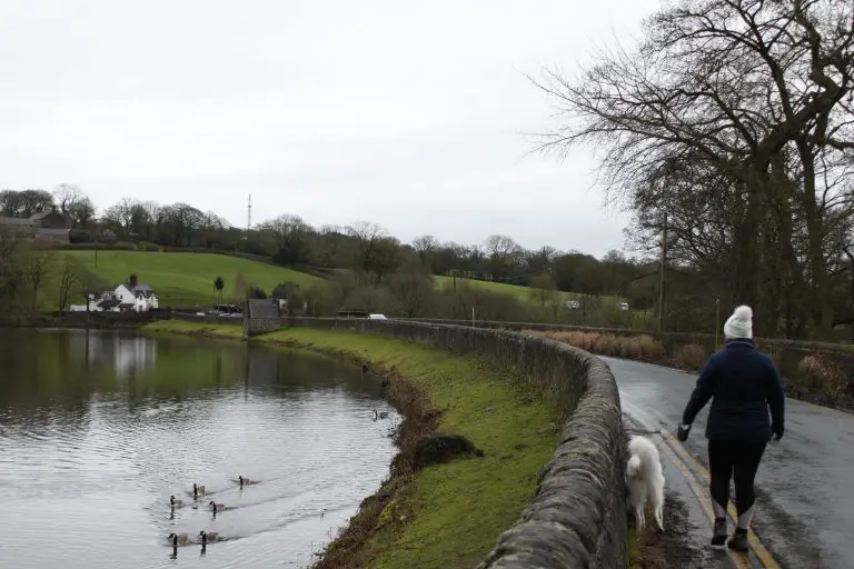 Woman walking dog over a bridge