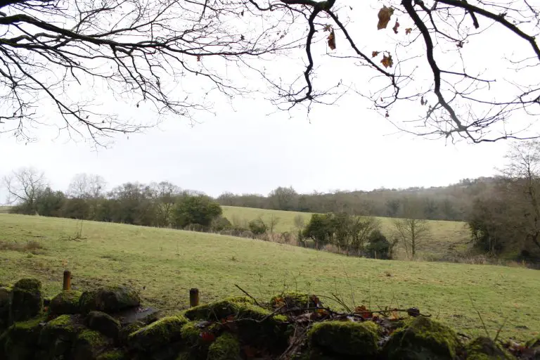 View over fields