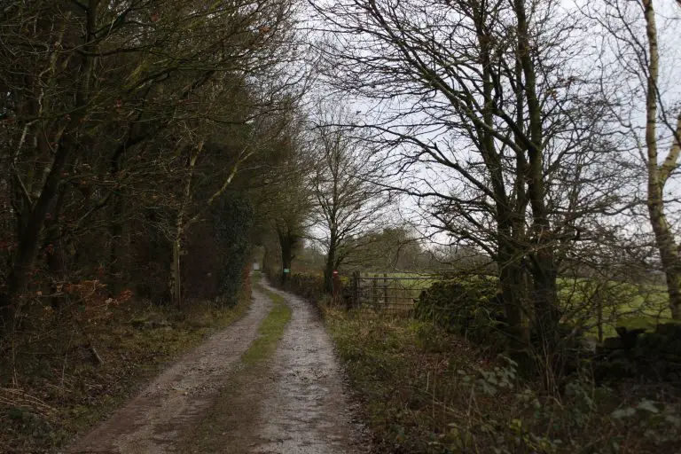 Country Lane