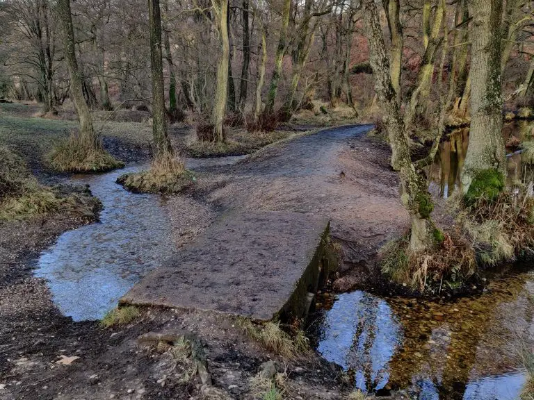 Small stone bridge over a stream in the forest