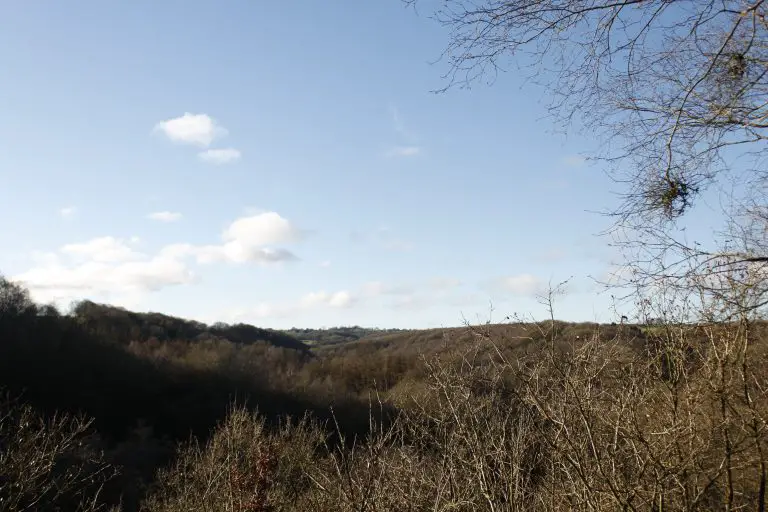 View overlooking the valley