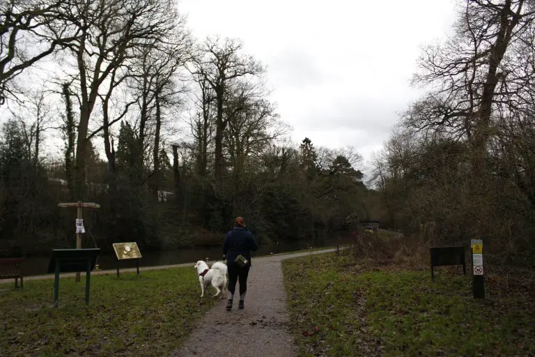Woman walking dog