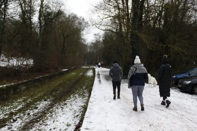 Group with dog on snowy Churnet Valley railway platform