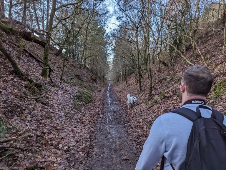 Man walking dog through forest