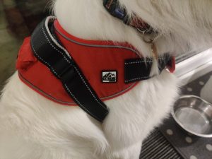 Close up of the Ancol Extreme Harness