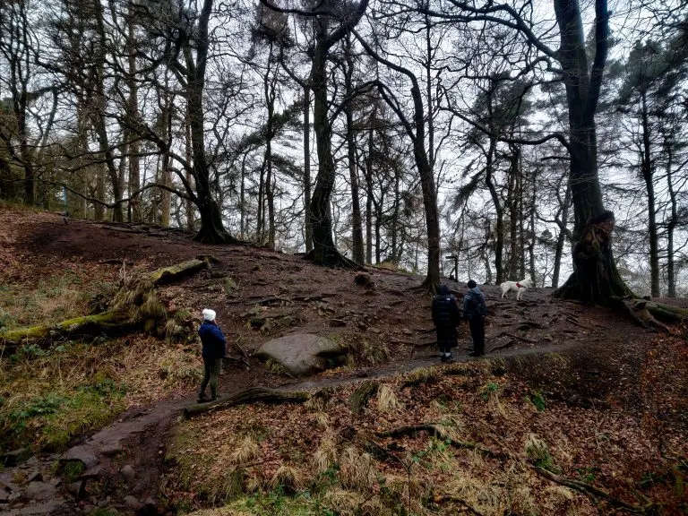 Group walking through Back Forest