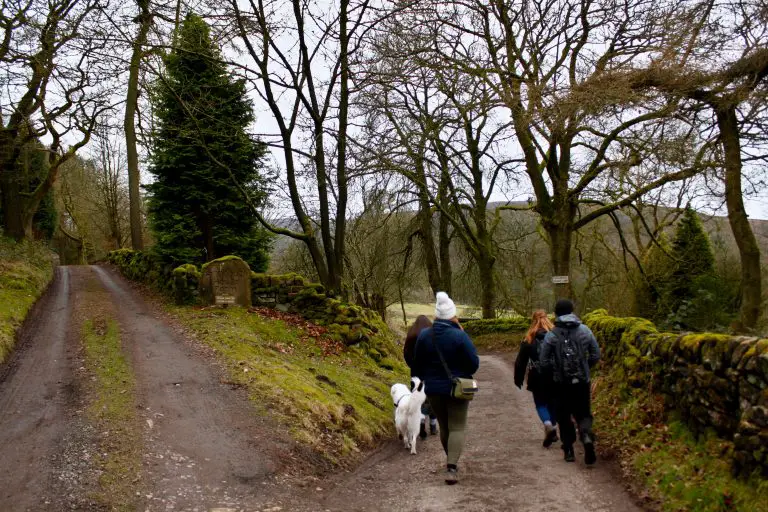 Group walking down a fork in the road by Gradbach Mill