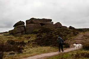 Man walking dog on the Roaches