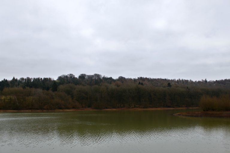 Carsington Water