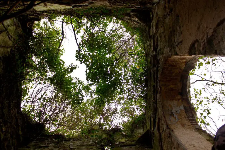 Grotto at Talacre Abbey