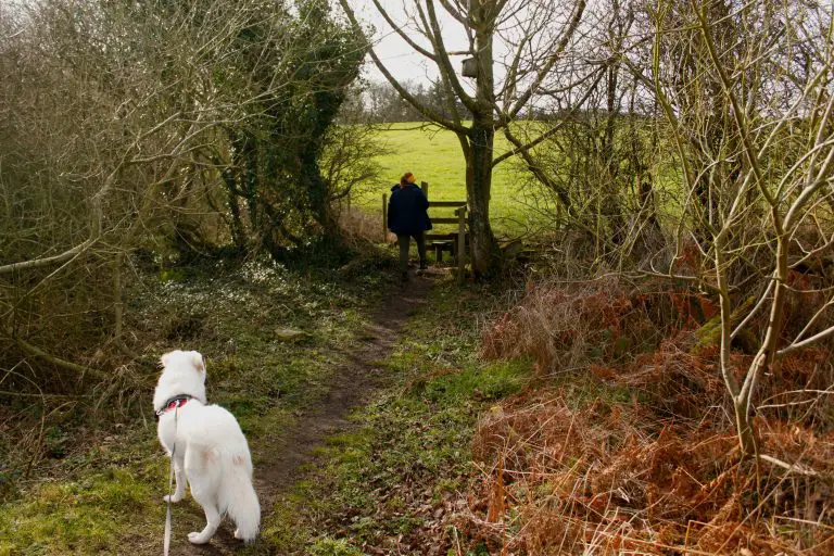 Flynn and Sam on Prestatyn Hills