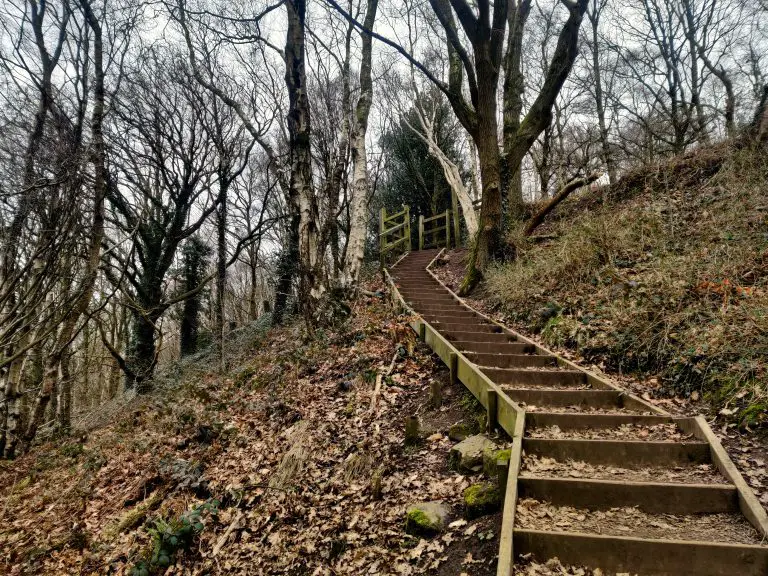 Steps leading up to Bosley Cloud