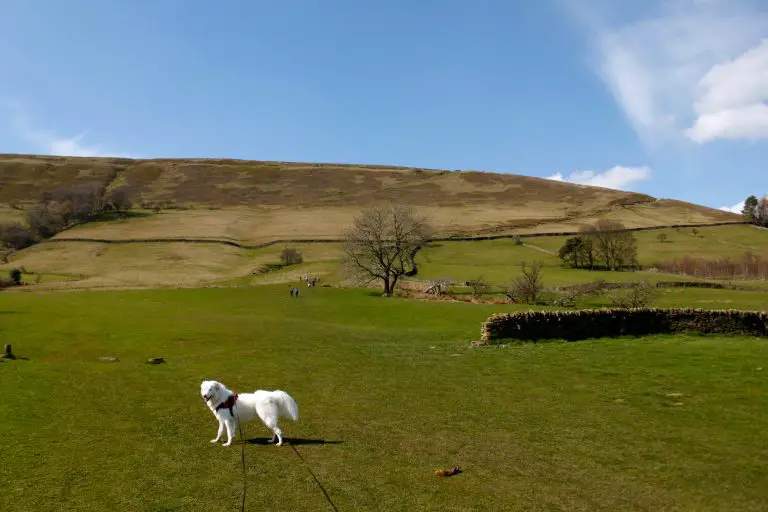 Field leading from Edale up to Grindslow Knoll