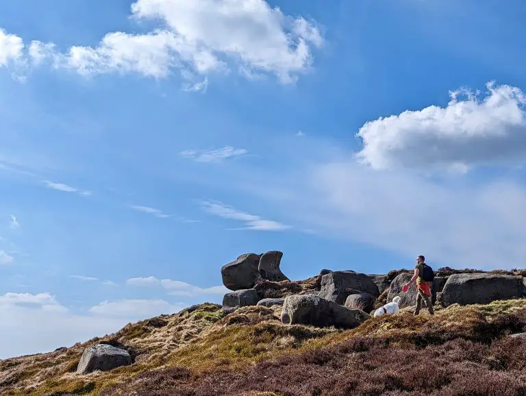 Labrador Rock